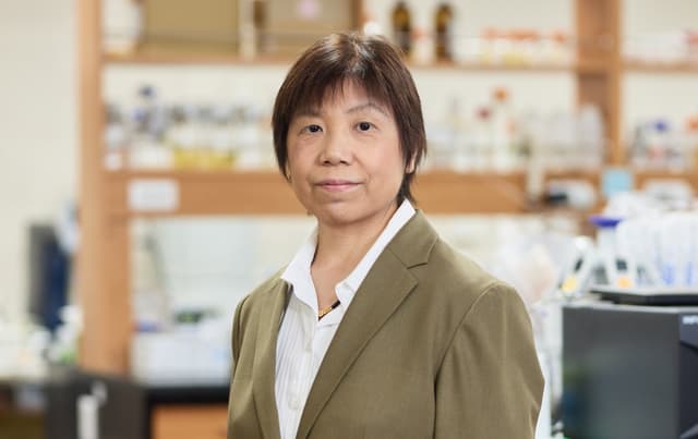 Tomomi Fujii