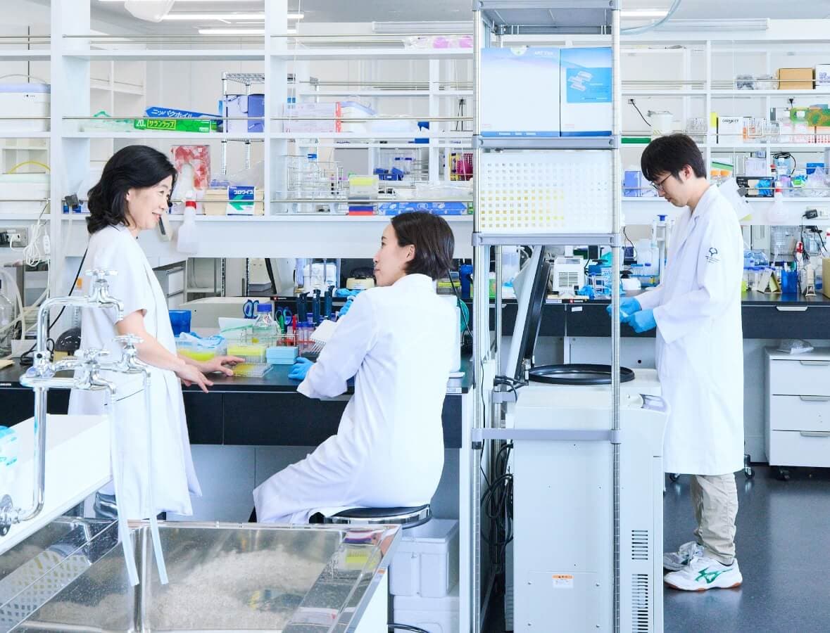 研究体制